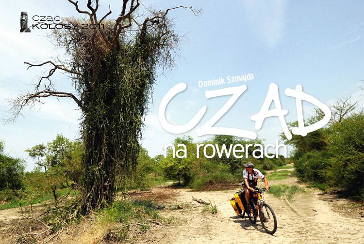 Losowy darmowy artykuł